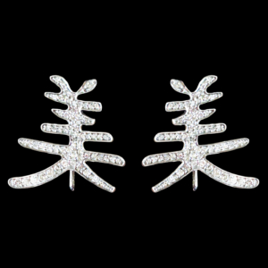 INTERCHANGEABLE BEAUTY SYMBOL